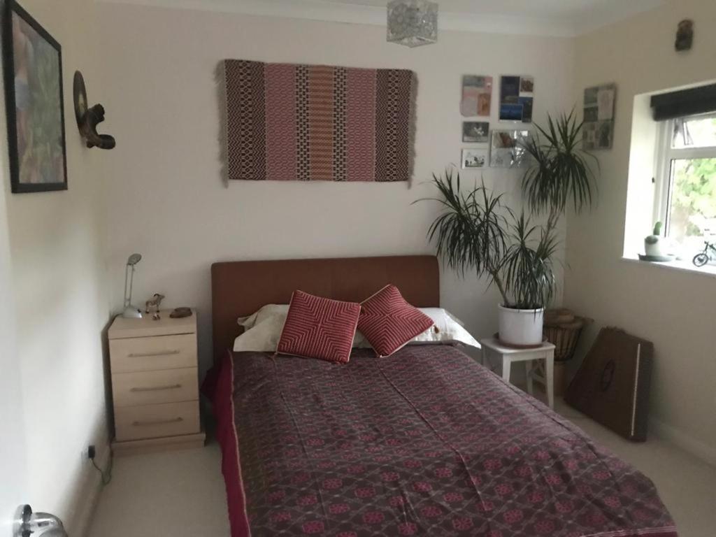 Serene Spacious Room Staines-upon-Thames Exteriör bild