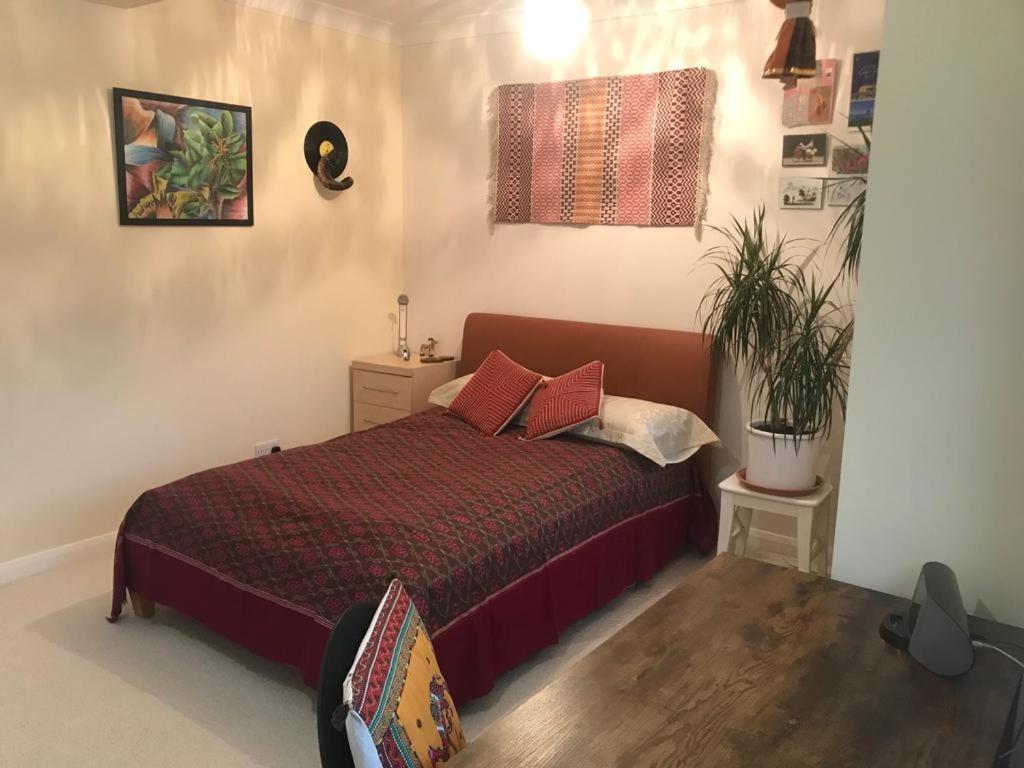Serene Spacious Room Staines-upon-Thames Exteriör bild