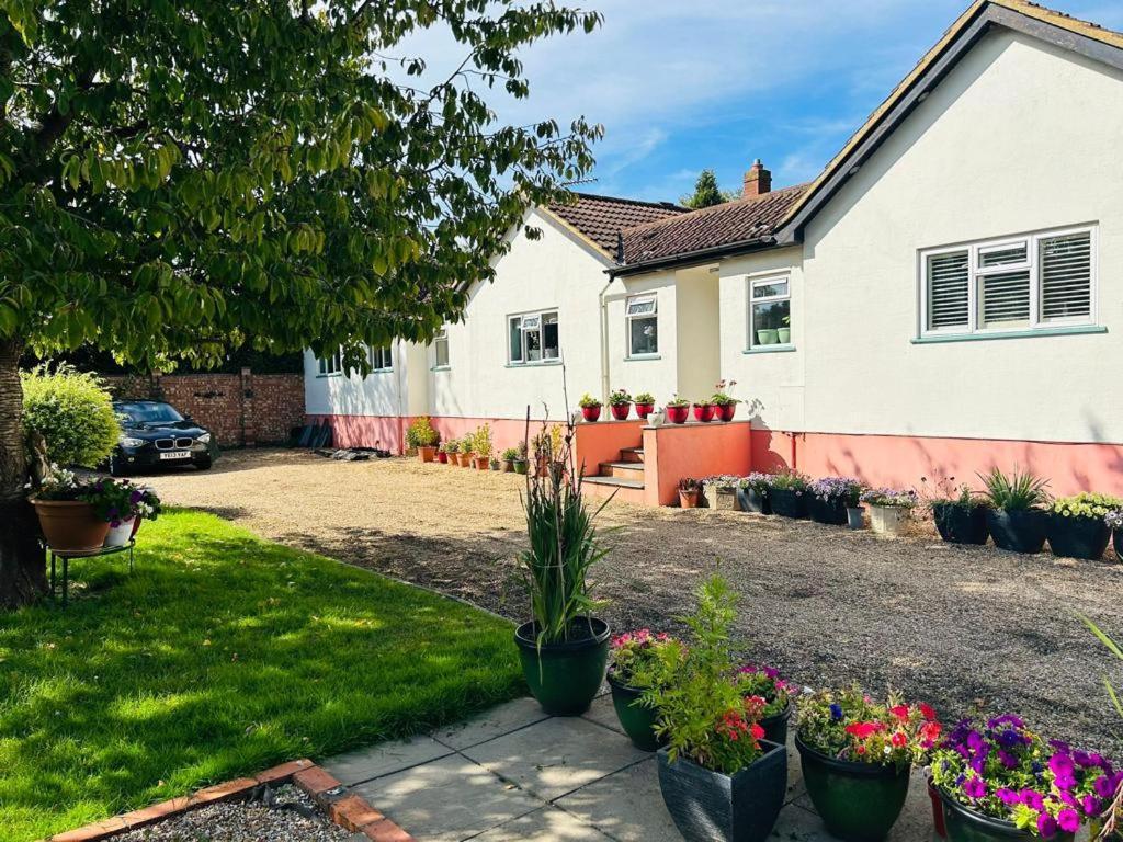 Serene Spacious Room Staines-upon-Thames Exteriör bild
