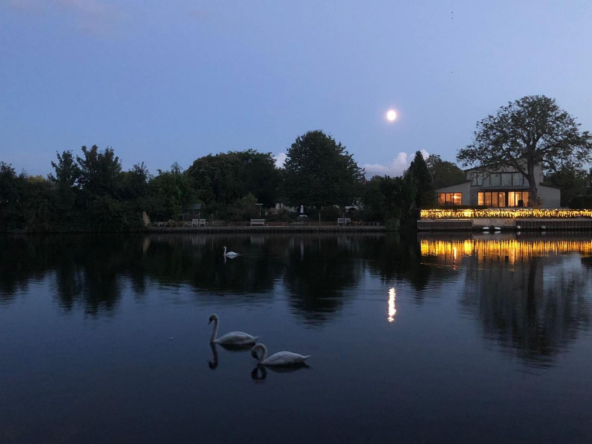 Serene Spacious Room Staines-upon-Thames Exteriör bild