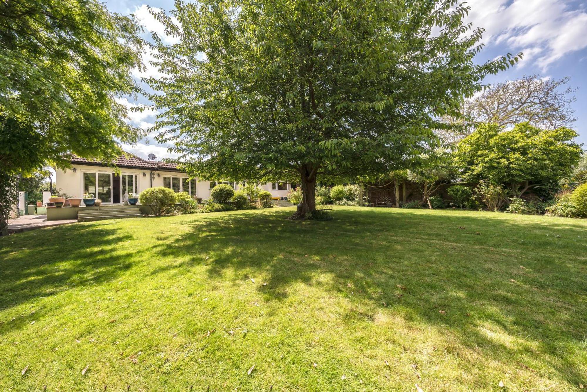 Serene Spacious Room Staines-upon-Thames Exteriör bild